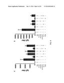 COMBINED ANTIGEN AND DNA VACCINE FOR PREVENTING AND TREATING RSV INFECTION diagram and image