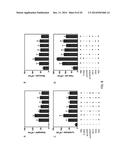 COMBINED ANTIGEN AND DNA VACCINE FOR PREVENTING AND TREATING RSV INFECTION diagram and image