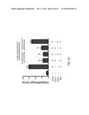 COMBINED ANTIGEN AND DNA VACCINE FOR PREVENTING AND TREATING RSV INFECTION diagram and image