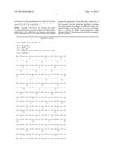 COMBINED ANTIGEN AND DNA VACCINE FOR PREVENTING AND TREATING RSV INFECTION diagram and image