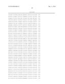 COMBINED ANTIGEN AND DNA VACCINE FOR PREVENTING AND TREATING RSV INFECTION diagram and image