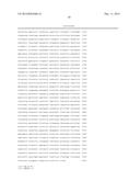 COMBINED ANTIGEN AND DNA VACCINE FOR PREVENTING AND TREATING RSV INFECTION diagram and image