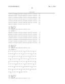 COMBINED ANTIGEN AND DNA VACCINE FOR PREVENTING AND TREATING RSV INFECTION diagram and image