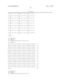 COMBINED ANTIGEN AND DNA VACCINE FOR PREVENTING AND TREATING RSV INFECTION diagram and image