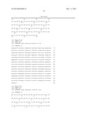 COMBINED ANTIGEN AND DNA VACCINE FOR PREVENTING AND TREATING RSV INFECTION diagram and image