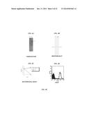 HETEROLOGOUS EXPRESSION OF NEISSERIAL PROTEINS diagram and image