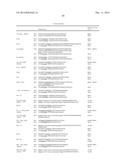 HETEROLOGOUS EXPRESSION OF NEISSERIAL PROTEINS diagram and image