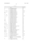 HETEROLOGOUS EXPRESSION OF NEISSERIAL PROTEINS diagram and image