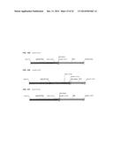 HETEROLOGOUS EXPRESSION OF NEISSERIAL PROTEINS diagram and image