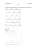 HETEROLOGOUS EXPRESSION OF NEISSERIAL PROTEINS diagram and image