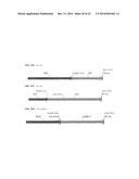 HETEROLOGOUS EXPRESSION OF NEISSERIAL PROTEINS diagram and image