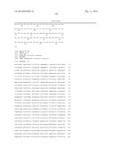 HETEROLOGOUS EXPRESSION OF NEISSERIAL PROTEINS diagram and image