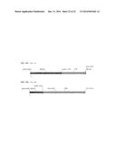 HETEROLOGOUS EXPRESSION OF NEISSERIAL PROTEINS diagram and image