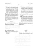 HETEROLOGOUS EXPRESSION OF NEISSERIAL PROTEINS diagram and image