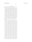 HETEROLOGOUS EXPRESSION OF NEISSERIAL PROTEINS diagram and image