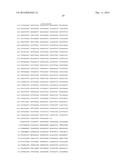 HETEROLOGOUS EXPRESSION OF NEISSERIAL PROTEINS diagram and image