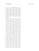 HETEROLOGOUS EXPRESSION OF NEISSERIAL PROTEINS diagram and image