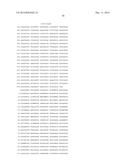 HETEROLOGOUS EXPRESSION OF NEISSERIAL PROTEINS diagram and image