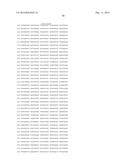 HETEROLOGOUS EXPRESSION OF NEISSERIAL PROTEINS diagram and image