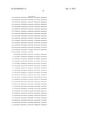 HETEROLOGOUS EXPRESSION OF NEISSERIAL PROTEINS diagram and image