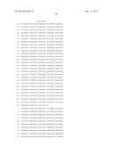 HETEROLOGOUS EXPRESSION OF NEISSERIAL PROTEINS diagram and image