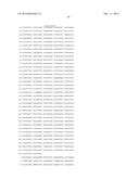 HETEROLOGOUS EXPRESSION OF NEISSERIAL PROTEINS diagram and image