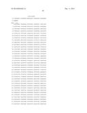 HETEROLOGOUS EXPRESSION OF NEISSERIAL PROTEINS diagram and image