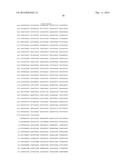 HETEROLOGOUS EXPRESSION OF NEISSERIAL PROTEINS diagram and image