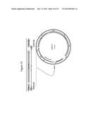 MYCOBACTERIAL VACCINE VECTORS AND METHODS OF USING THE SAME diagram and image