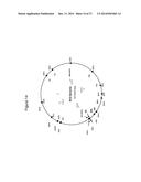 MYCOBACTERIAL VACCINE VECTORS AND METHODS OF USING THE SAME diagram and image