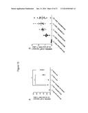 MYCOBACTERIAL VACCINE VECTORS AND METHODS OF USING THE SAME diagram and image