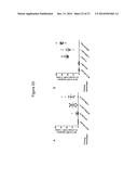 MYCOBACTERIAL VACCINE VECTORS AND METHODS OF USING THE SAME diagram and image