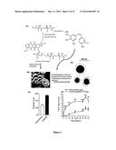 Nanocell Drug Delivery System diagram and image