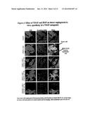 Nanocell Drug Delivery System diagram and image