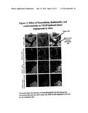 Nanocell Drug Delivery System diagram and image