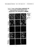 Nanocell Drug Delivery System diagram and image