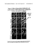 Nanocell Drug Delivery System diagram and image