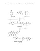 Nanocell Drug Delivery System diagram and image