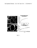 Nanocell Drug Delivery System diagram and image