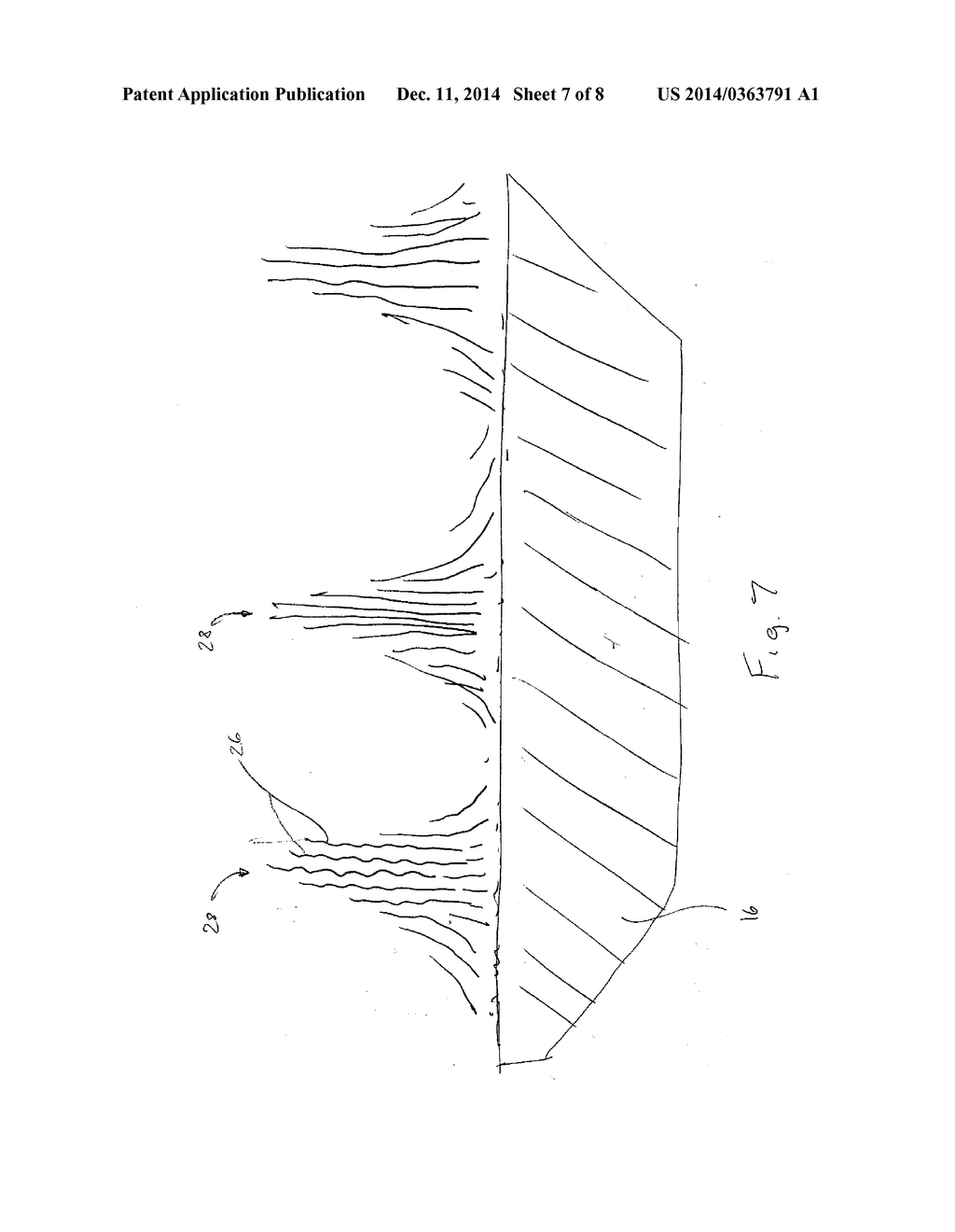 IMPLANTABLE REPLICA OF NATURAL TOOTH - diagram, schematic, and image 08