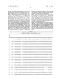 Genetic Marker for Detection of Human Papillomavirus diagram and image