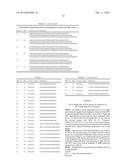 Genetic Marker for Detection of Human Papillomavirus diagram and image