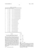 Genetic Marker for Detection of Human Papillomavirus diagram and image