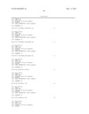 Genetic Marker for Detection of Human Papillomavirus diagram and image