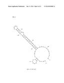 APTAMERS SCREENING METHOD BASED ON GRAPHENE WITHOUT TARGET IMMOBILIZATION     AND THE APTAMERS OBTAINED FROM THE METHOD diagram and image