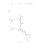 APTAMERS SCREENING METHOD BASED ON GRAPHENE WITHOUT TARGET IMMOBILIZATION     AND THE APTAMERS OBTAINED FROM THE METHOD diagram and image