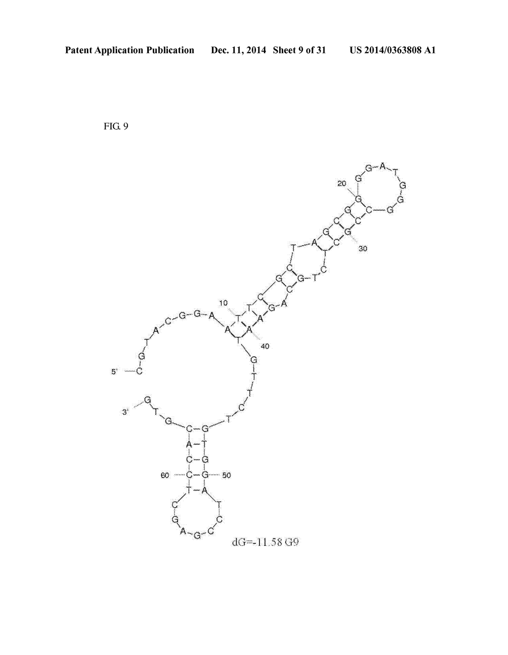 APTAMERS SCREENING METHOD BASED ON GRAPHENE WITHOUT TARGET IMMOBILIZATION     AND THE APTAMERS OBTAINED FROM THE METHOD - diagram, schematic, and image 10