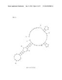 APTAMERS SCREENING METHOD BASED ON GRAPHENE WITHOUT TARGET IMMOBILIZATION     AND THE APTAMERS OBTAINED FROM THE METHOD diagram and image