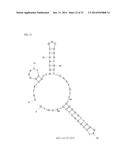 APTAMERS SCREENING METHOD BASED ON GRAPHENE WITHOUT TARGET IMMOBILIZATION     AND THE APTAMERS OBTAINED FROM THE METHOD diagram and image