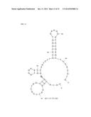 APTAMERS SCREENING METHOD BASED ON GRAPHENE WITHOUT TARGET IMMOBILIZATION     AND THE APTAMERS OBTAINED FROM THE METHOD diagram and image